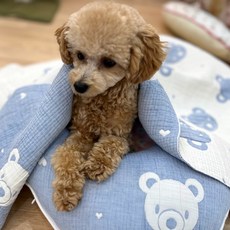 해피앤퍼피 시원한 강아지이불 20가지 디자인 강아지 고양이 여름 인견블랭킷 오가닉블랭킷 낮잠이불 담요, 푸푸블루(4중거즈)