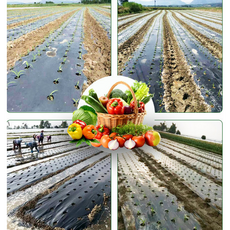 멀칭비닐 95cm X 20m 농사 잡초발생방지 자외선차단 토양안정비닐, 1개