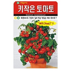 아람종묘 키작은토마토 씨앗, 1개 1개