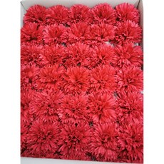 康乃馨香皂花 50朵 小香風 單花頭 母親節禮物 台灣現貨, 【整盒】鮮紅（一盒５０朵）, 1個