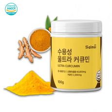 수용성 커큐민 강황추출물 강황커큐민 부모님영양제 커큐민효능, 1개, 100g