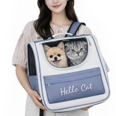 강아지켄넬 강아지 고양이 이동장 반려동물 이동가방, 블루, 1개