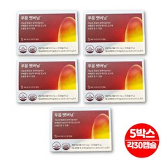 푸잉 푸응 푸웅 팻버닝 펫버닝 CLA 홍아 홍화 씨 유 기름 오일 공액리놀레산 공액리놀렌산 성인 중년 남성 여성 노인 과체중 다이어트, 30회분, 5박스