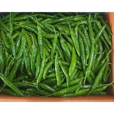 가락싱싱 국내산 청양고추 (특)400g 1kg 땡초 매운청양고추, 청양고추1kg, 1개