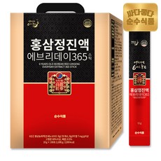 순수식품 홍삼정 진액 에브리데이 365 홍삼스틱, 1kg, 1개