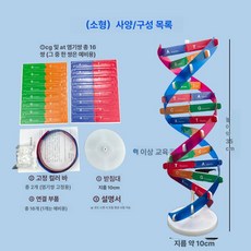 DNA 분자 모형 이중 나선 구조 모델 생물학 교육 유전자 과학교구 학습용 염색체, DNA 모델 조립재 (약 35cm 높이)