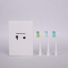 덴탈픽 포켓팩 음파 전동 칫솔모 3개입, 1개