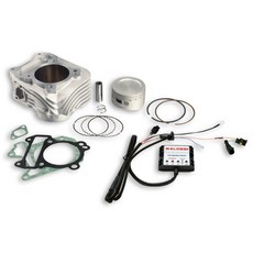 義大利 MALOSSI 汽缸 電腦【 LX 2V 125 / LX 2V 150 專用】 70m/m缸, 1個