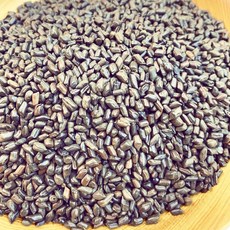 手炒 決明子 炒熟 一斤/600克, 1個, 決明子 1斤600克