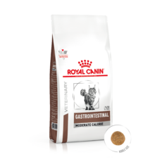 [로얄캐닌] 캣 가스트로인테스티널 모더레이트 칼로리 2kg, 1개, 오리