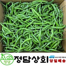 [ 정담상회 ] 국내산 꽈리고추 못난이고추 안매운고추 1kg 2kg 4kg, 1박스, 1kg(상)