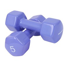 라움샵 아령5kg 홈트아령 아이워너 육각 아령 5kg 블루베리 2개 1P 홈트 덤벨