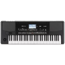 田田樂器KORG PA300 電子琴 具備多種音色和伴奏風格，操作簡單易上手，輕巧便攜適合各種程度的音樂愛好者, 1個