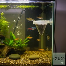 생필샵 열대어 먹이 컵 새우 지렁이 급여 수조 어항 구피 거북이 피딩컵 물고기밥구피 물고기급여기, 화이트
