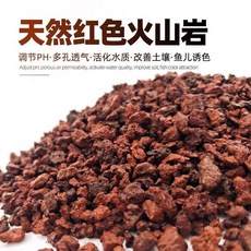 幸福水族 天然火山岩 魚缸造景 水草底砂 培養消化菌 水質改善, 紅火山岩, 1個