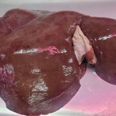 당일도축 한돈 돼지 간 한마리분 1.4kg 이상 오늘도축 신선한 돼지 간, 1개