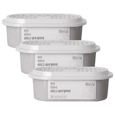 온다숲 반영구 국내산 천연 강력한 냉장고탈취제, 300g, 3개