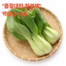 1등집 품절대란 청경채 특품, 1박스, 2kg