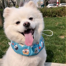 캔모어 애견 쿨링 아이스팩 넥 스카프, 1개, 블루