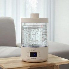 대우 루미스트 투명 유리 무드등 완전분리 통세척 가열식 가습기, 베이지, DEH-HG3000
