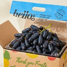 프리미엄 블랙사파이어 포도 고당도 가지포도, 2개, 1kg