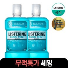 리스테린 쿨민트 구강청정제, 1L, 2개