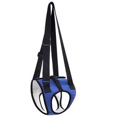 교정기 강아지 반려견 뒷다리 움직임 보호 허리 노견, 1개