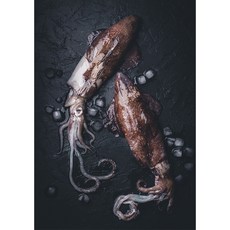 삼둥이수산 초코오징어 1kg 국내산 (10미내외) 통찜용 총알 손질완료, 기본, 1