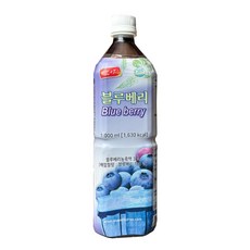 스위트코리아 블루베리 1000ml 1개 액상음료 과일음료 원액, 1L