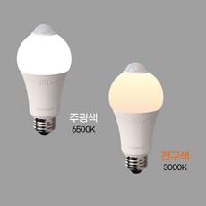 LED 센서전구 센서 램프 벌브 센서등 10W, 주광색, 1개
