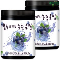 블루베리농축분말 300gx2통 미국산 블루베리농축, 300g, 1개