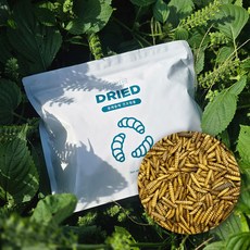 엔토모 건조 동애등에 닭 중병아리 사료 청계 앵무새 모이 거북이 도마뱀 간식 햄스터 고슴도치 게코 수제 간식, 2개, 500g