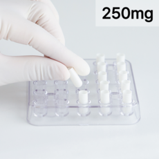 캡슐충진기 알약 만들기 키트 250mg 고급형, 1개
