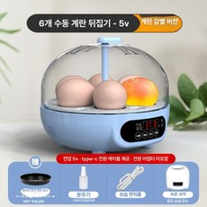 부화용 오리알 계란 습도 가정용 병아리 부화기 달걀 종란 청란 초란 닭 메추리, 6알 반자동, 1개, 1g