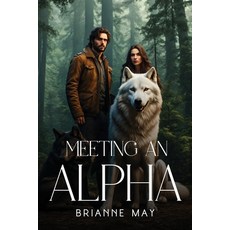 (영문도서) Meeting An Alpha Paperback, Brianne May, English, 9781787991224