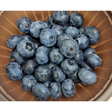 국내산 농장직송 새콤달콤 국산 무농약 블루베리 100g 1팩(14mm이상 16mm이상), 2개, 125g(14mm)
