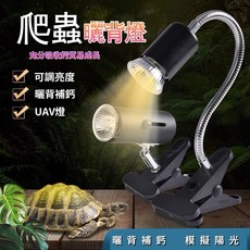 一心 水族 寵物保暖燈 陶瓷保溫燈夾 烏龜曬背燈 爬蟲 鸚鵡 迷你夾燈 UVA 3.0燈泡, 1個, 定時開關不含燈泡（可彎曲款）