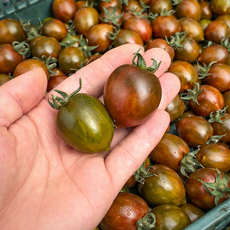 대저 흑대추방울토마토, 1개, 1kg