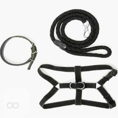 [염셀러제안샵] 대형견 목줄 하네스 리드줄 세트 XS 블랙