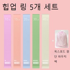 10-40lb 힙업 밴드 하체 운동 원형 고무밴드 홈트 세트, 5개, 다색