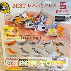 BANDAI 生物大圖鑑 BEST 豹紋守宮與睫角守宮 爬蟲類 公仔 模型, 1個, 一套5款（下單數量x5）