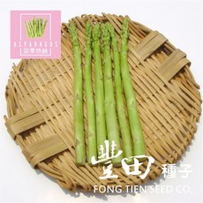 野菜部屋~ I59 UC-800 青莖蘆筍種子 中包裝, 1包