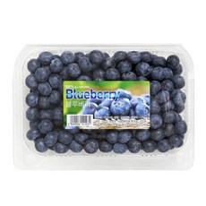 코스트코 블루베리 500g