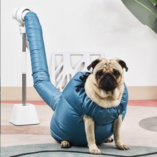 드라이기 목욕 애견 강아지 고양이 드라이룸 19533ea 1(PC), L