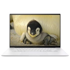 에이수스 2025 젠북 S 16 OLED 코어Ultra7, 스칸디나비안 화이트, 1TB, 16GB, WIN11 Home, UX5606SA-RJ235W