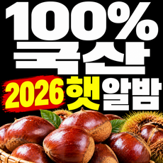 100% 국산 밤 생밤 2026 햇 알밤 부여 공주 1위산지, 1개, 5kg