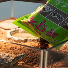 RFS 습지 사막 바닥재 강아지바닥매트, 1개