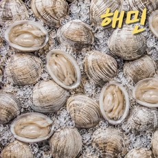 백상합 1kg - 중국산 산지직송 자연산, 1개, 중국산 백상합(소) 1kg(22~28미)