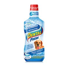 시너지랩 Dog 덴탈후레쉬 화이트닝 503ml 물에 섞는 치약 성견 강쥐 나이많은개 쾌적