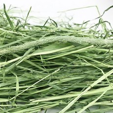 寵物苜蓿草 磨牙牧草, 1個